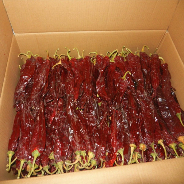 High Quality New Crop Chinese Sweet Paprika Pods with Stem