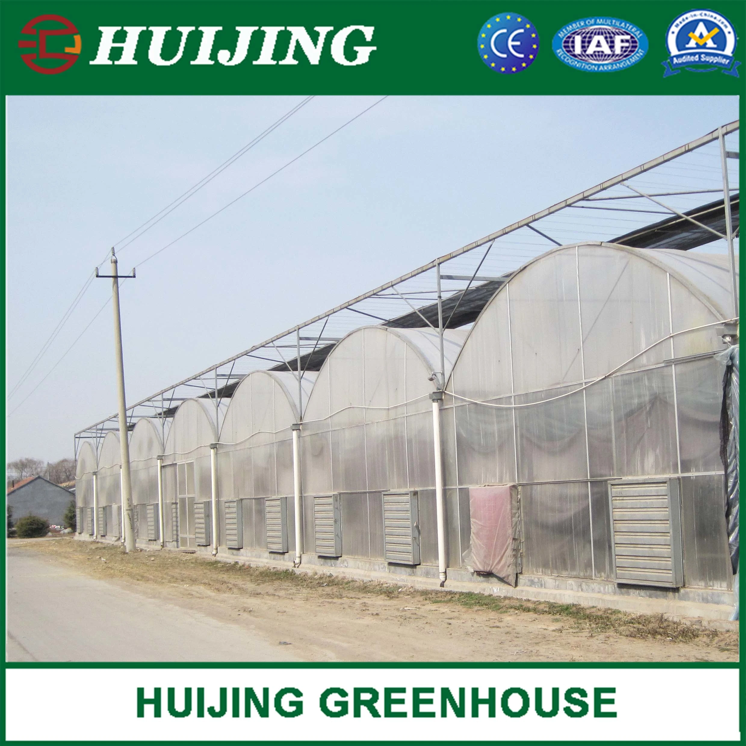 Gothic Multi Span Polycarbonate Greenhouse for Vegetables/Fruits/Flowers