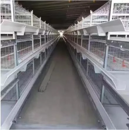 Automatic Poultry Farm Broiler Feeder Breeding Feeding Cage