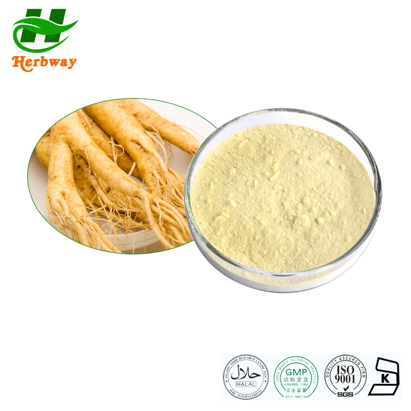 Herbway Plant Extract Improve Immunity Korean Red Ginseng Extract Powder for Health Supplement Ginseng Root Extract 80%Ginsenosides Panax Ginseng Extract