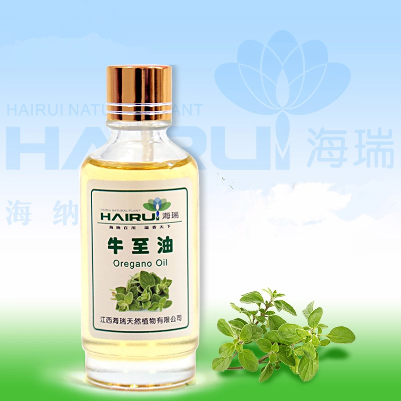 Bulk Packed Good Price Organic Manufacturer OEM/ODM Certified with MSDS COA Aroma Oregano Oil