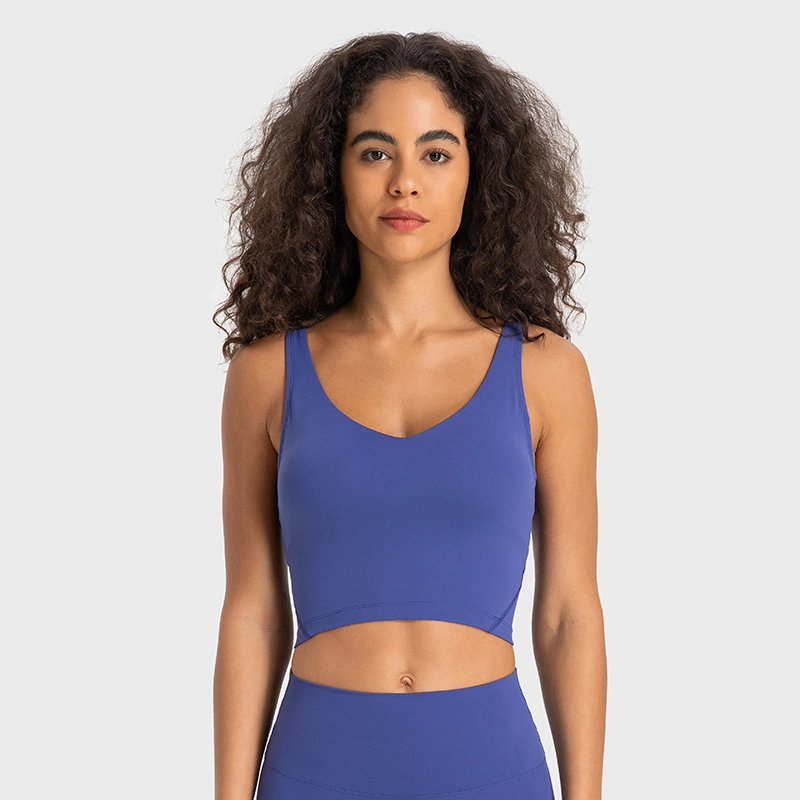 Vêtements de fitness Yoga Appaurels femmes extérieur sans couture vêtements de gym Soutien-gorge de yoga sport vierge logo personnalisé vêtements de sport