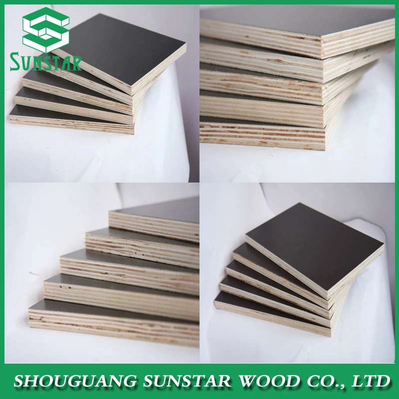 Construction Used Film Faced Plywood /Marine Board