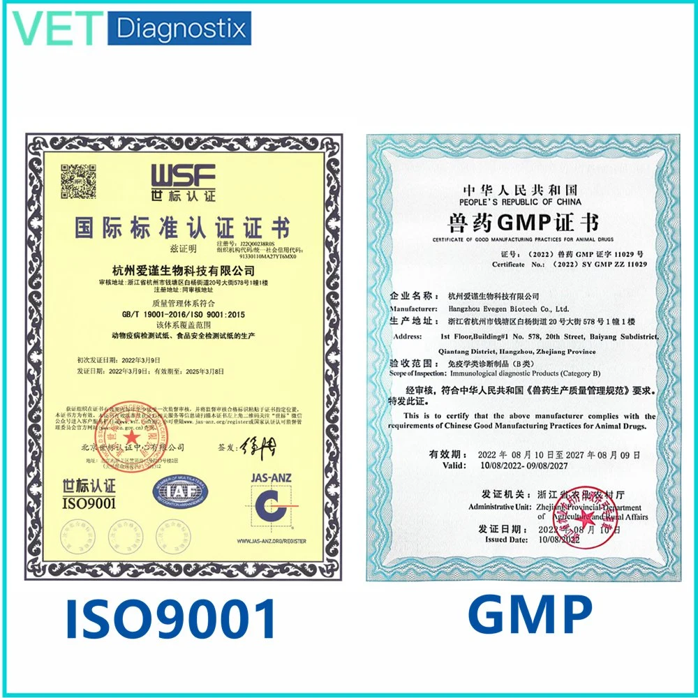 Test rapide vétérinaire Le test de diagnostic combiné Fcv-Fhv-Fcov-Fpv AG pour félins GMP/ISO9001