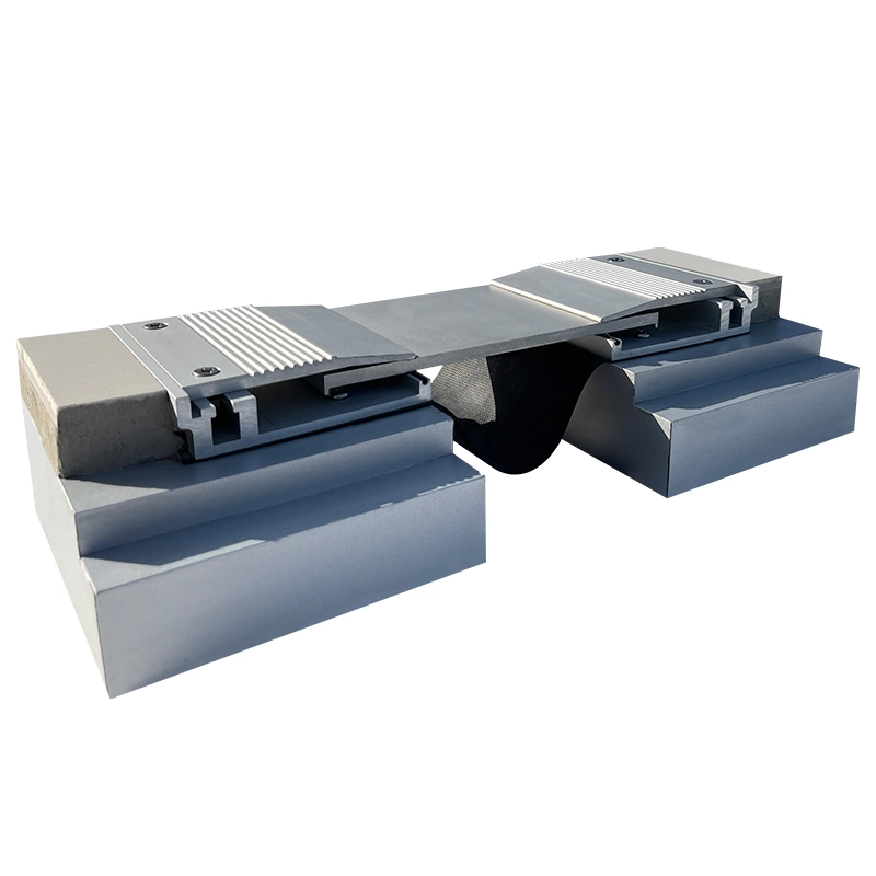 Wasserdichte Metall Auto Parkplatz Expansion Joint Cover