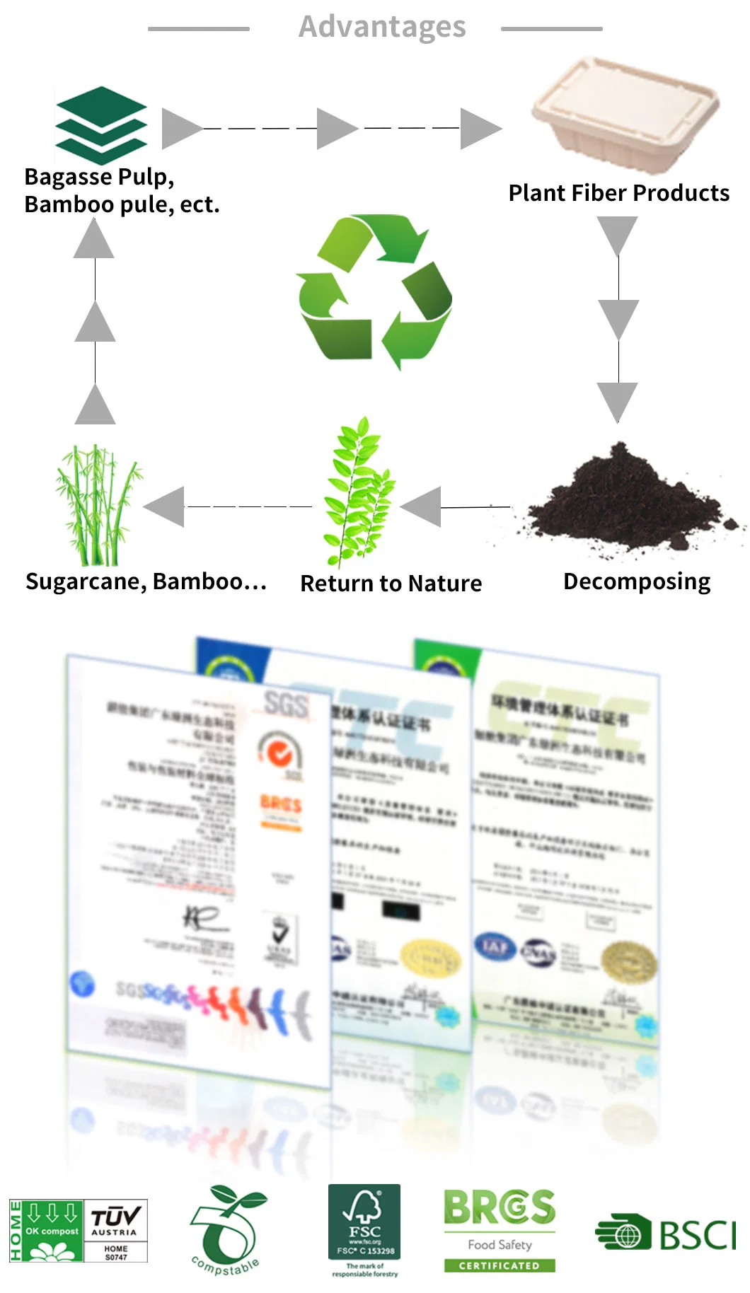 Resistencia a altas temperaturas reciclar los envases de alimentos biodegradables