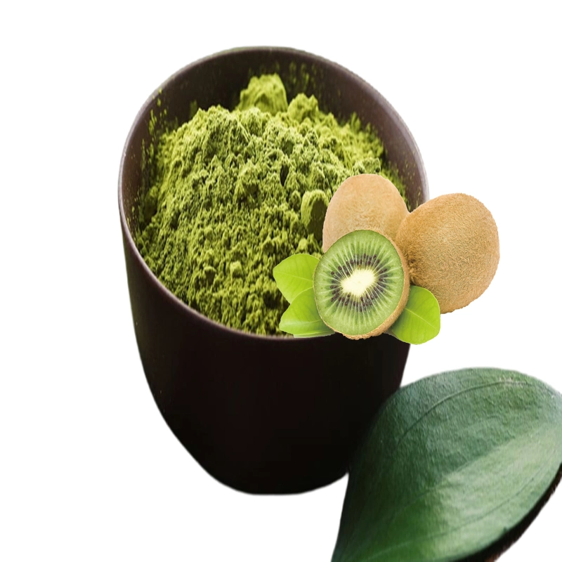 Highest Quality Natural Organic Green Tea Powder Kiwi Flavor for Latte Drinks with Great Taste