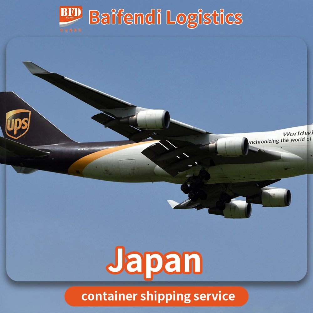 China to Brazil, The Goods Are Packed, Quality Inspection and Transportation Services