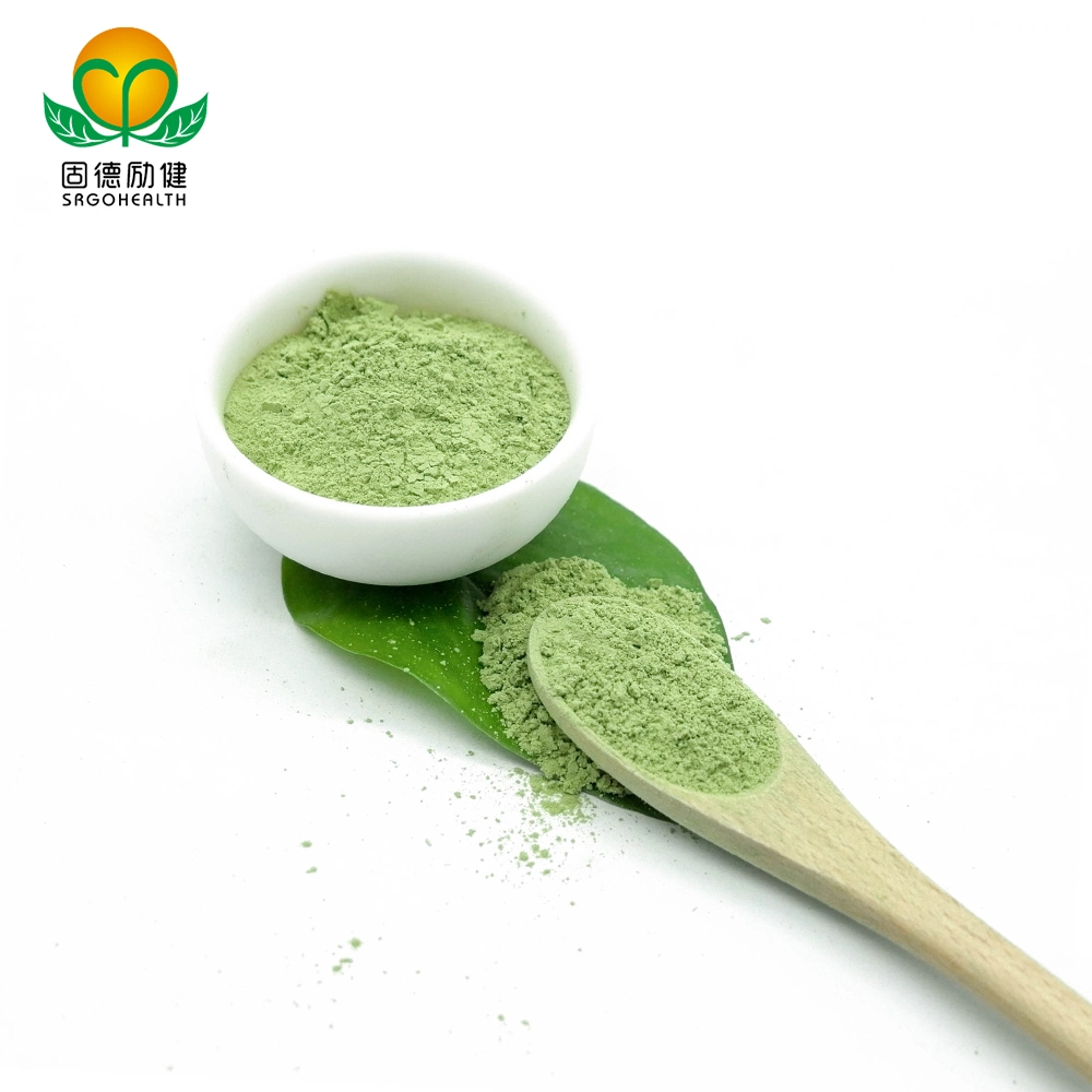 مسحوق جديد لقطعةGMP معتمدة من Matcha Powder