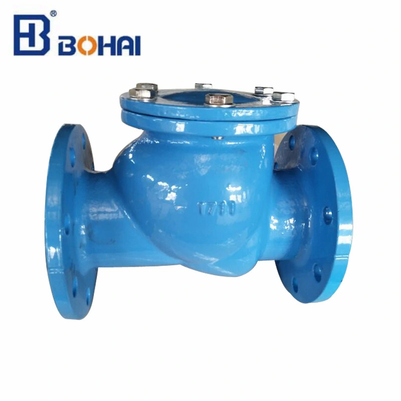 High quality/High cost performance Stainless Steel Check Flange Swing Check Valve