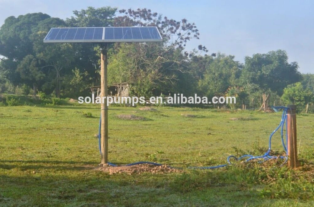 Qualidade superior de aço inoxidável 316 DC Furo Solar bem submersíveis Bomba de Água