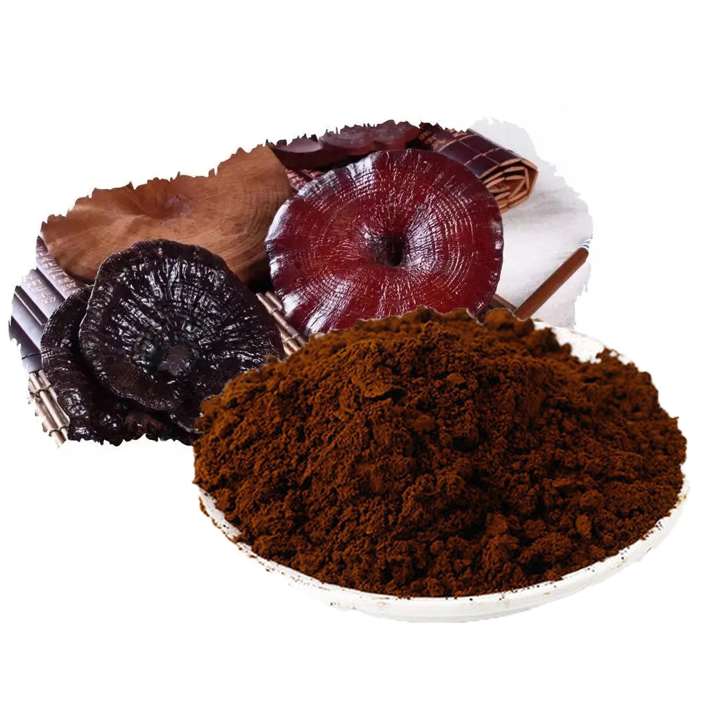 Muestra gratuita de extracto de Ganoderma Lucidum Cápsula de OEM/extracto de cuerpo de fructificación Reishi Polvo de extracto de Ganoderma Lucidum