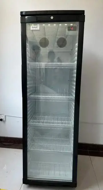 300L Slim solo cristal de la puerta del refrigerador de supermercado comercial NEVERA REFRIGERADOR