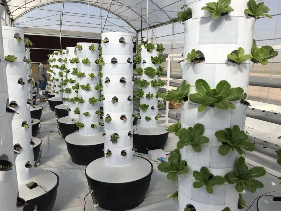 Hydroponic Systems for Sale Aquaculture Equipment Tower Garden