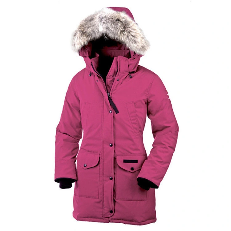 Wholesale/Supplier Winter Female Goose Down Apparel Outdoor Long Warm Windbreaker Oversized Duck Down Jacket for Women