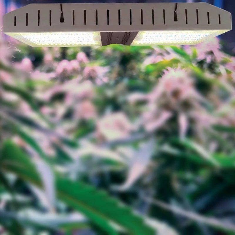 El Sistema de Cultivo vertical de crecimiento de la planta médica 800W crecimiento de la luz de LED de iluminación