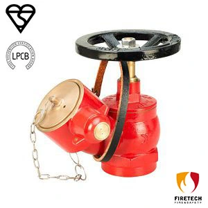 Fire Landing Valve Oblique Type with Bsi Kitemark Lpcb Approved Copper Alloy FT06-198b Series