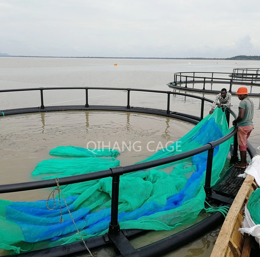 HDPE Fish Farm Cage for Intensive Farming in The Sea or Lake