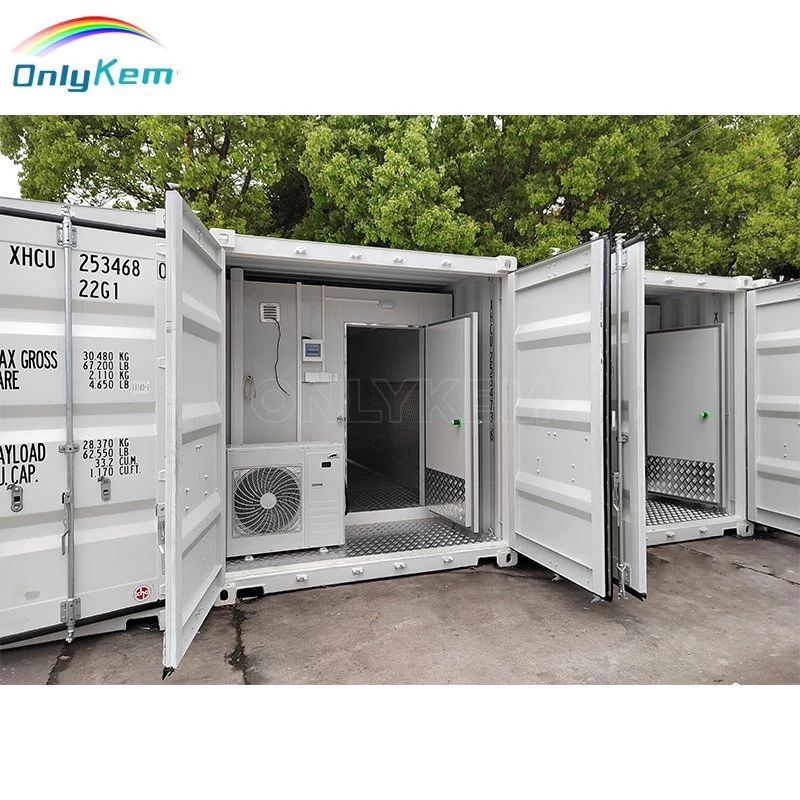 20 Feet Non-Fixed Place Cold Storage Container Cold Storage