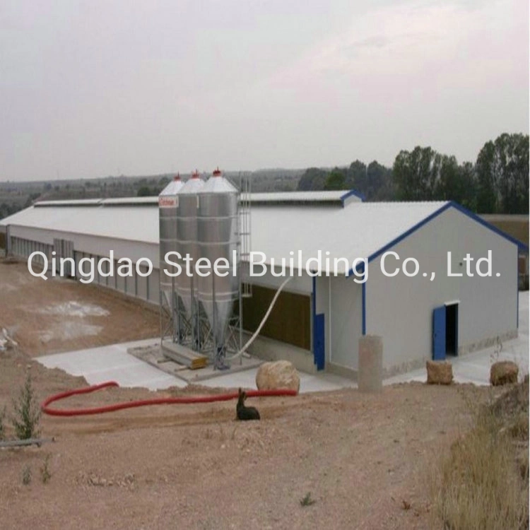 China High quality/High cost performance  Light Steel Structure Chicken Building