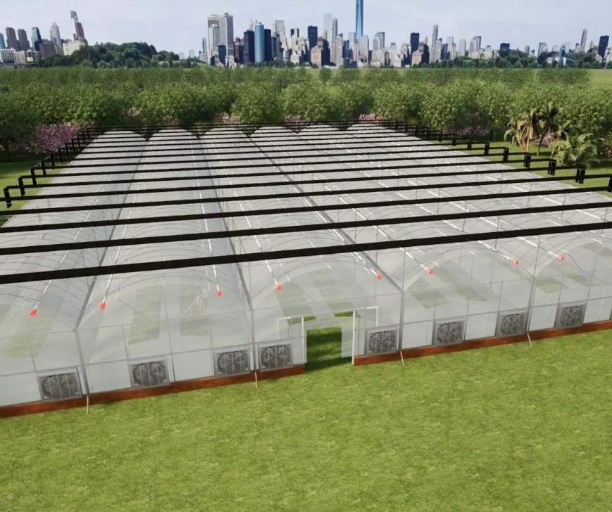 Greenhouse Film Made of Polyethylene for Farming and Flowers