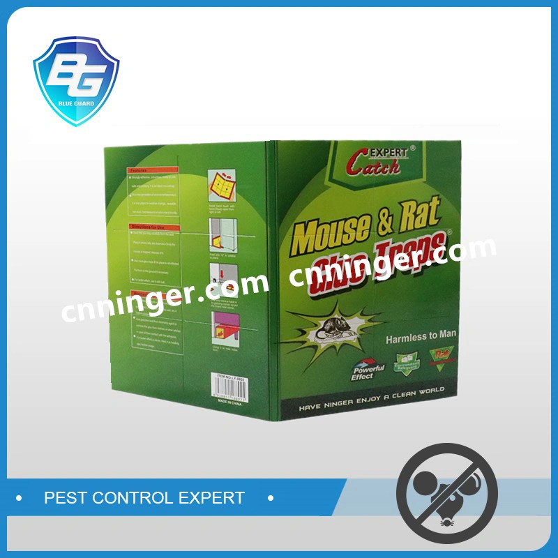 OEM Factory Direct Sale Rat Mouse Glue Trap