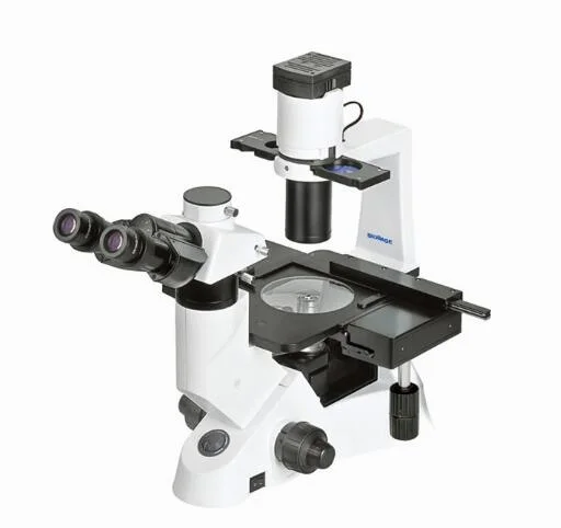 Biobase China Optical Instruments Phase Objective Inverted Biological Microscope BMI-100 for Lab