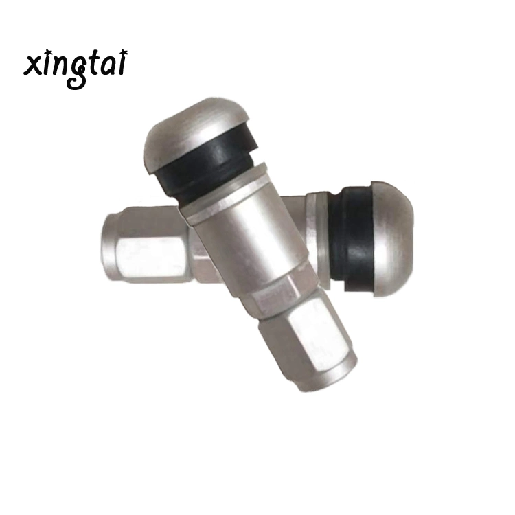 Hot Selling Metal Valve Vacuum Tire Use Nozzles Tire Valves