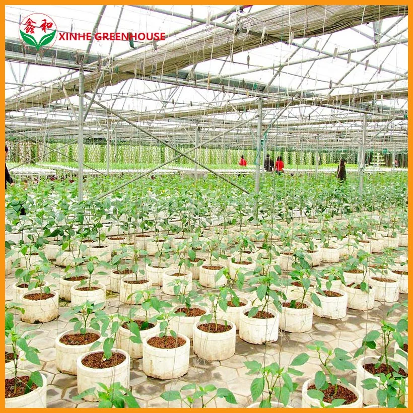 Fashion Nude Customized Xinhe Greenhouse Growing Indoor PVC Planting Nft Systems Cultivation Hydroponic System