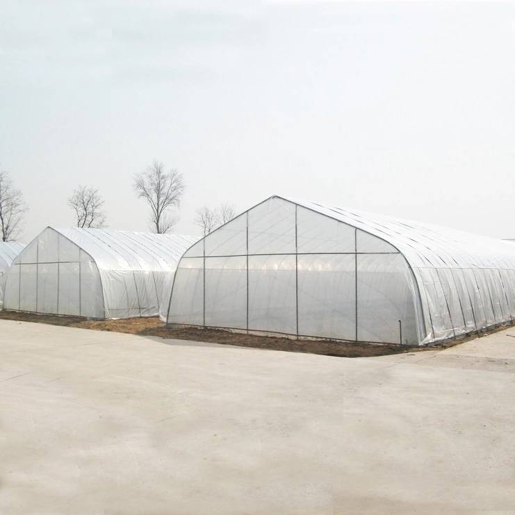 2023 Low Cost Landwirtschaftliche Polytunnel Gewächshaus für Gemüse