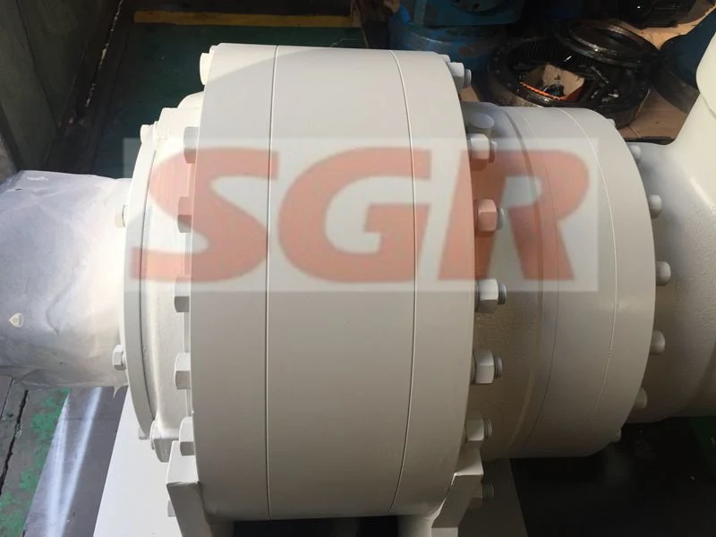 Sgr High Torque Right Angle Planetary Gearbox Can Replace Bonfigiloli and Brevini Model