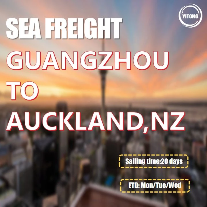 Sea Freight From Shanghai to Auckland New Zealand