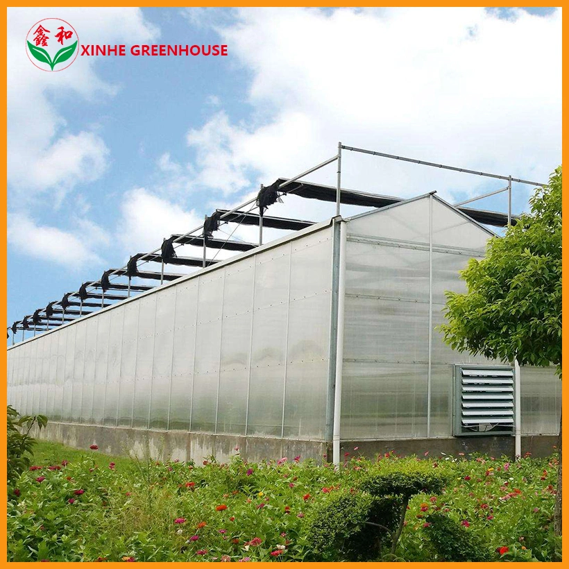 PC Sheet Green Houses Hydroponics System for Vegetables Flowers Fruit