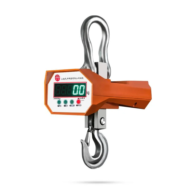 Overhead Crane Usage Digital Hanging Hook Electronic Crane Scale 5 Ton