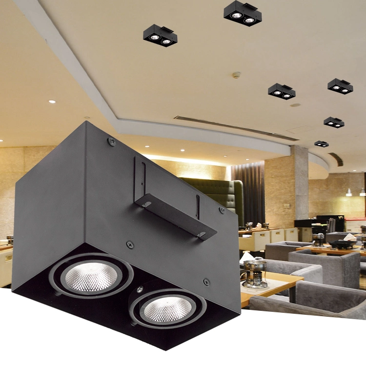 Aluminum White Black Single Double Head Square Recessed Ceiling Light Anti Glare Surface Mounted Spotlight LED Downlight