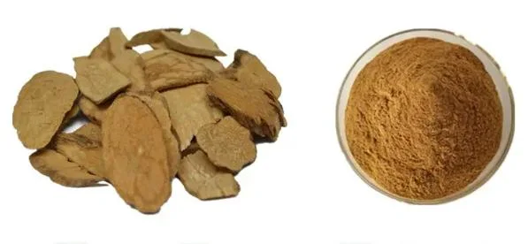 Cissus Extract Powder with 4: 1 Cissus Repens