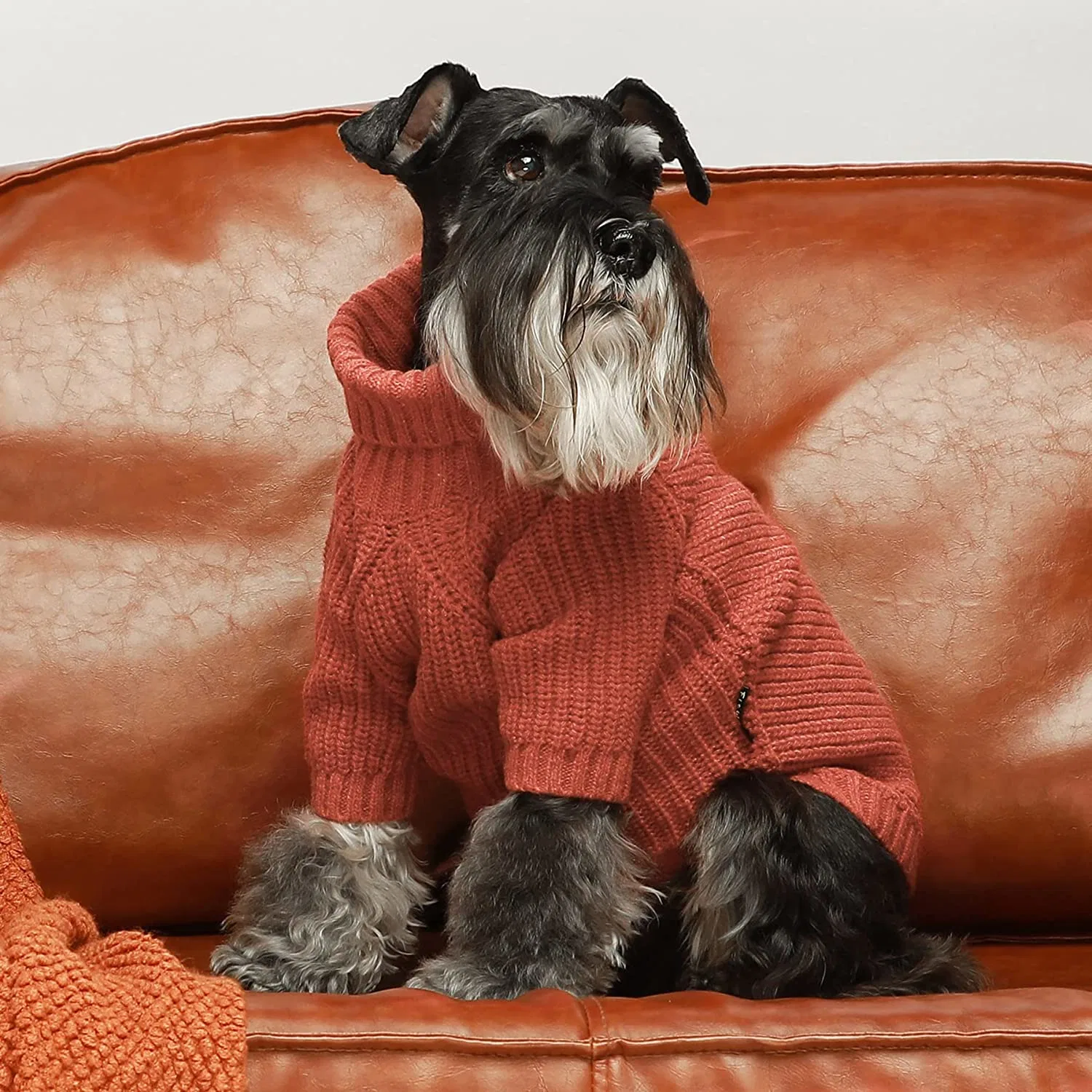 Suéter de punto suave de lujo para el invierno que combina el perro y. Ropa del propietario