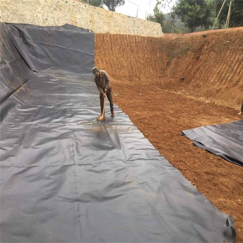 Fish Pond Polythene 60 Mil Poly Liner Tipos De Geomembranas