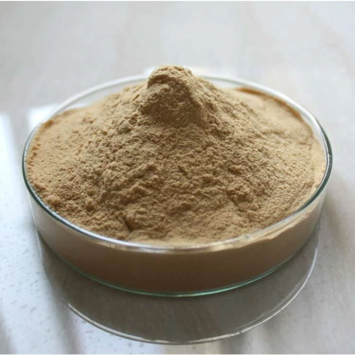 Natural Preservative Rosmarinic Acid 2%-98% Rosemarry Extract