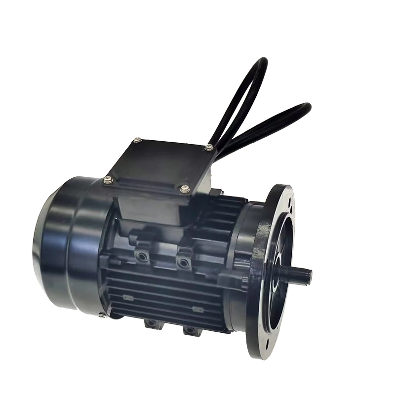 Ventilador de alta potencia disipación de calor 24V 2kW 1500R DC sin escobillas Motor BLDC Motor Triciclo batería coche profesional Motor