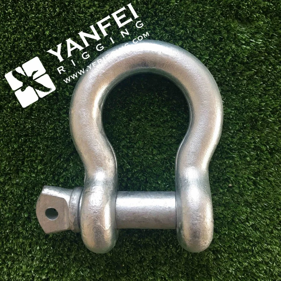 Alloy Steel Forged Galvanized Bow Screw Pin Anchor Shackle