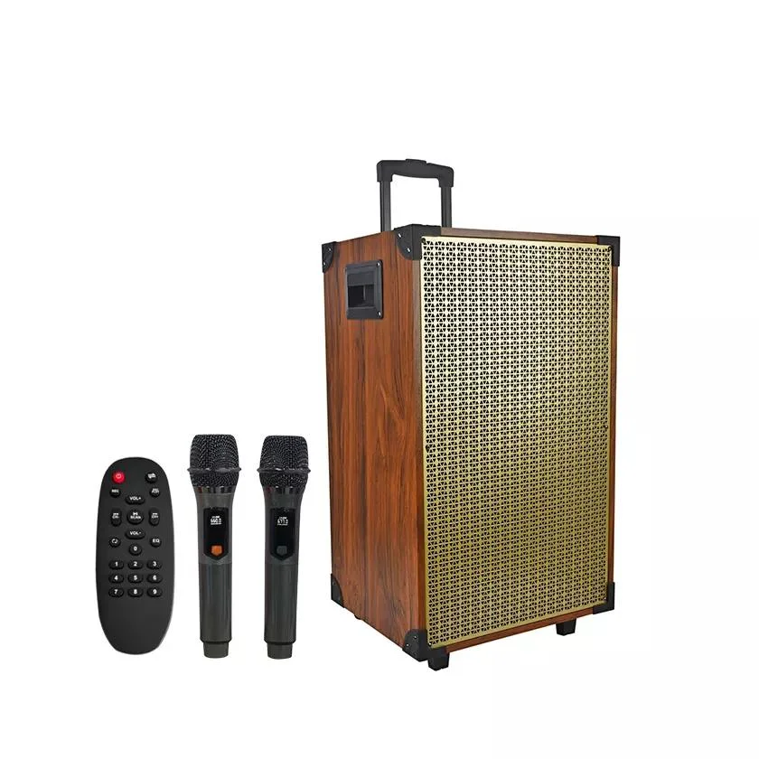 Temeisheng New Hot Sale Wooden Trolley Speaker 12 Inch 3 Way Wireless Portable Audio Box Bluetooth Chargeable Speaker with Mic