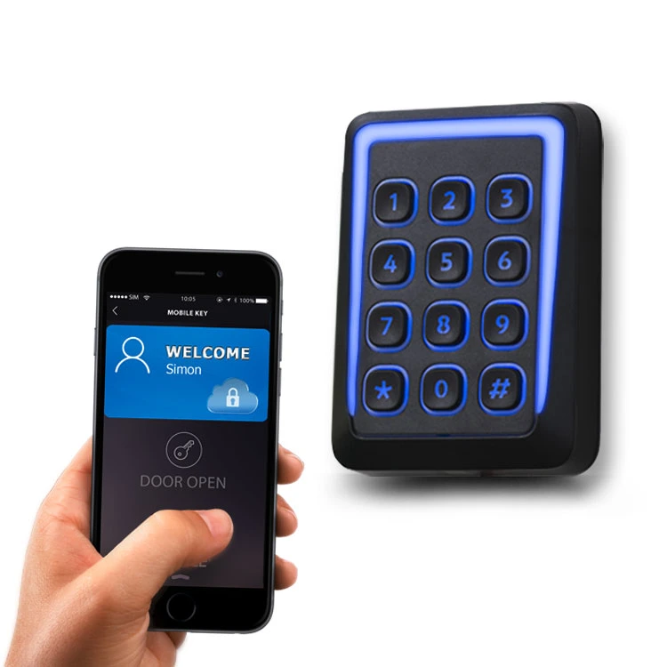 Outdoor Standalone Access Control mit RFID-Kartenleser Wiegand