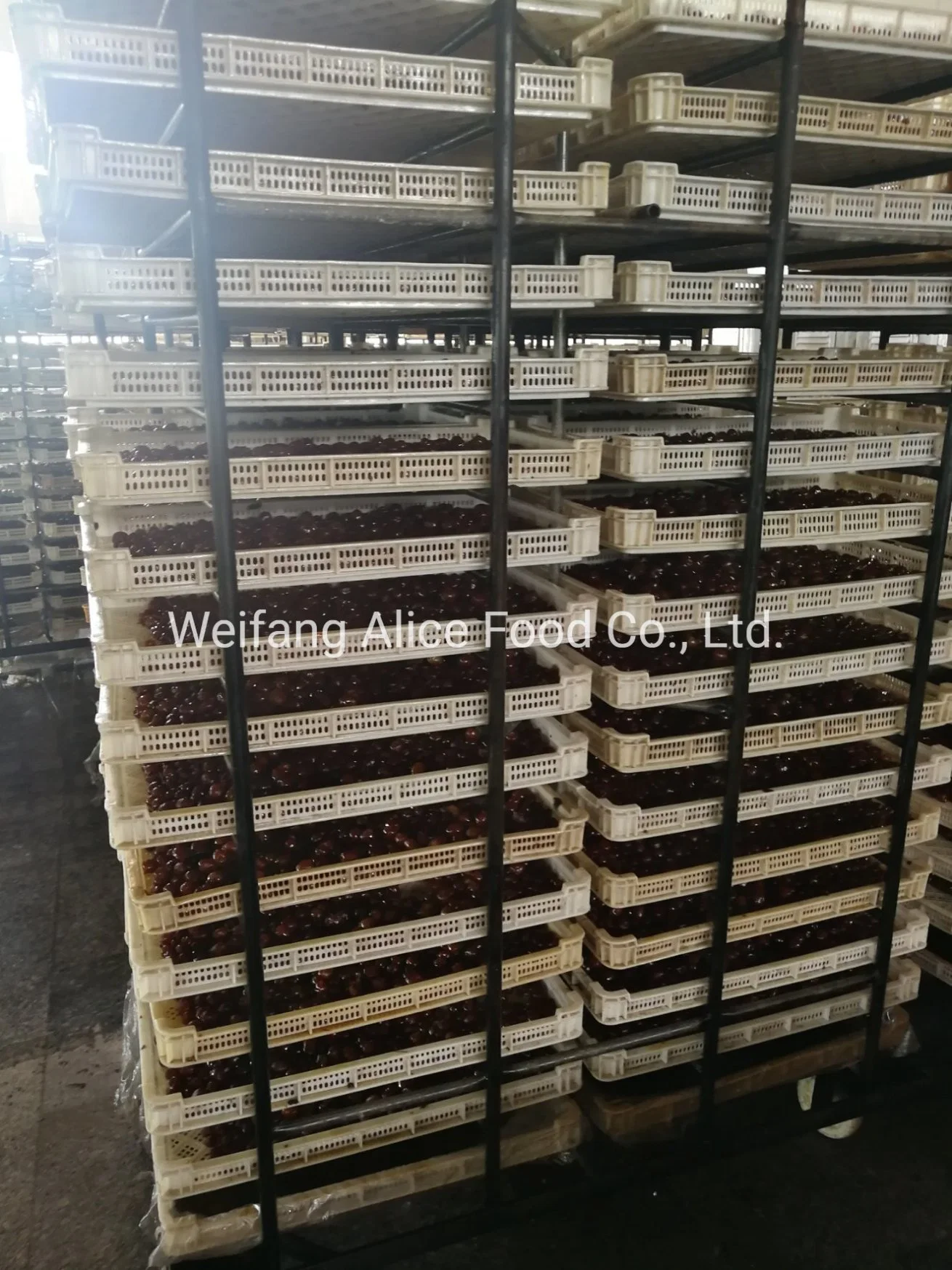 Wholesale/Supplier Chinese Honey Jujube Dried Dates Best Price Dry Dates