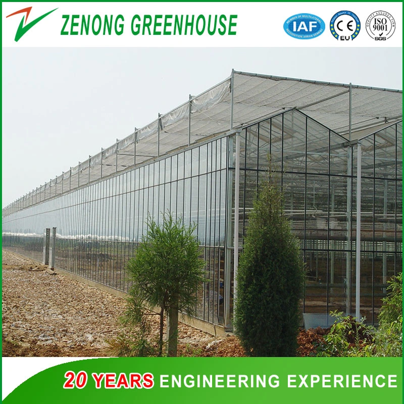 Красивый угол наклона верхней части стекла зеленый дом для сельского хозяйства опыт/ сельское хозяйство парк