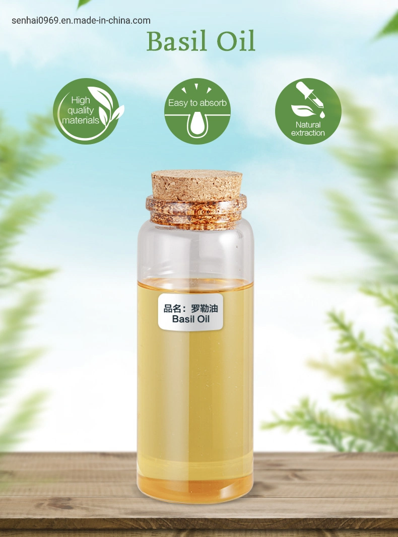 Bulk Wholesale/Supplier Pure Natural Fragrance Perfume Oil CAS 8015-73-4 Basil Oil in Daily Flavor