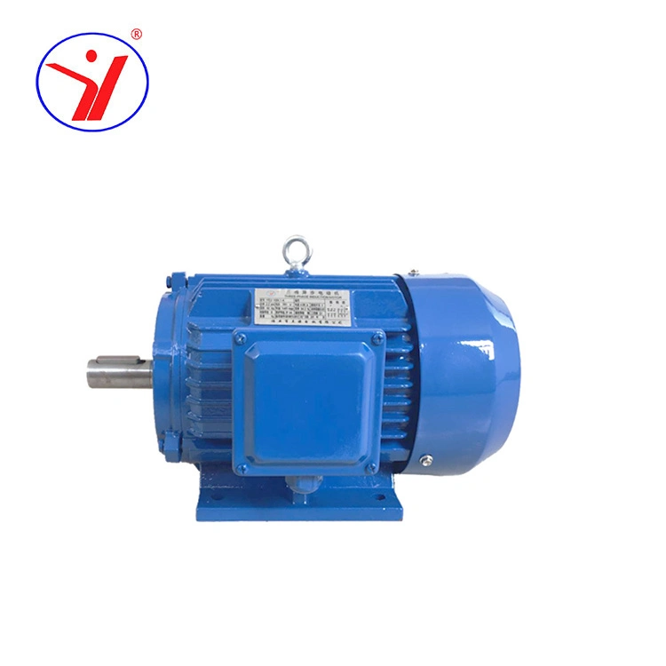 Three-Phase Induction 3 Phase Brushless Y2 Series 3-Phase AC Electric Motor