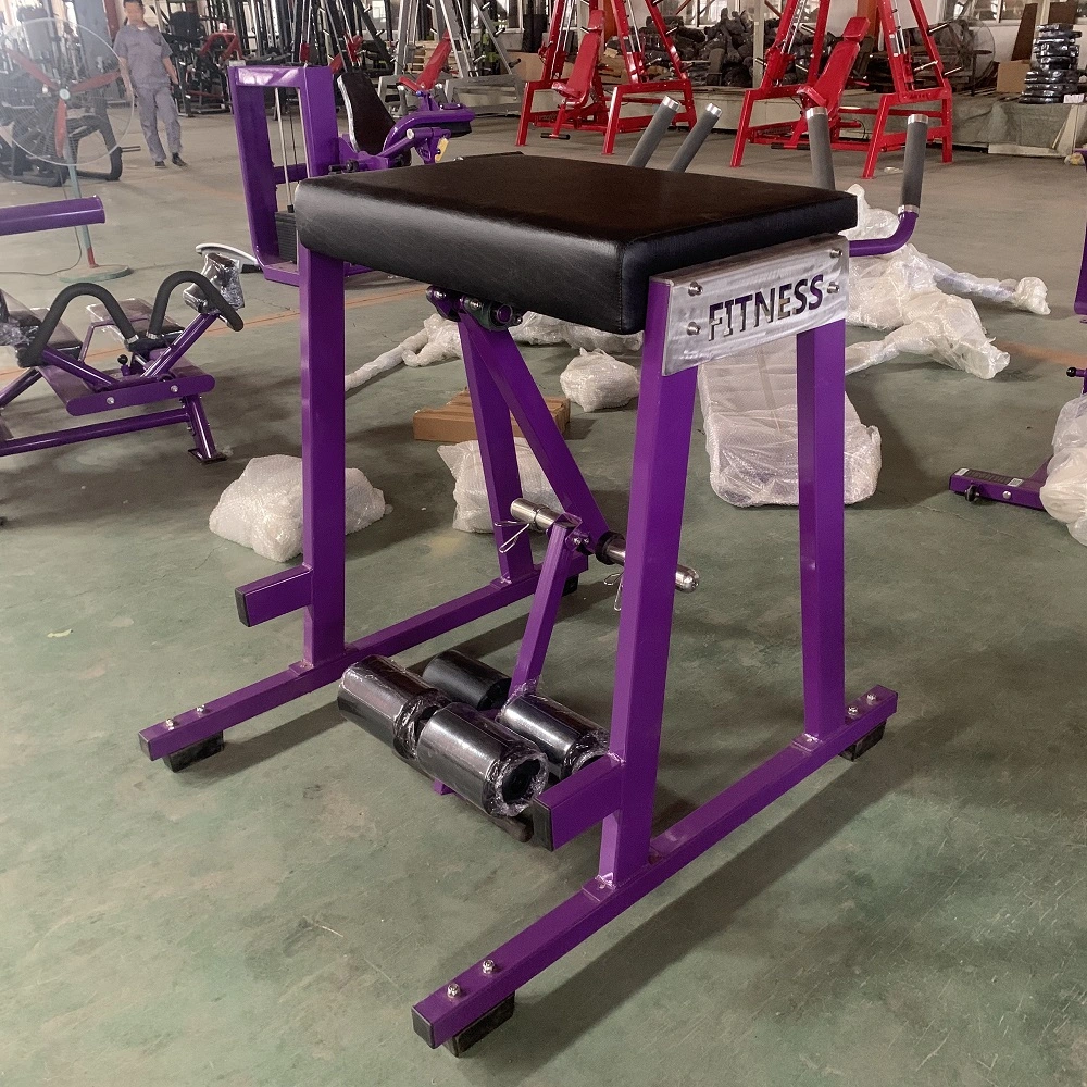 Hot Sale Fitness Equipment Reverse Hyper Extension Machine for Gym (AXD-B137)