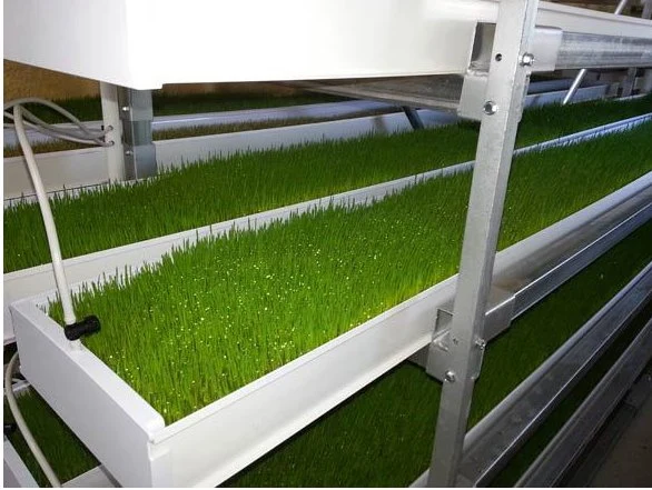 La production Microgreens ferme HYDROPONIQUE NFT verticale des systèmes de canaux en PVC avec système de recyclage de l'engrais