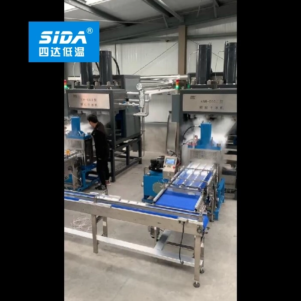 SIDI máquina de fabricación de hielo seco grande para la producción de hielo seco Planta 500-1000kg/H